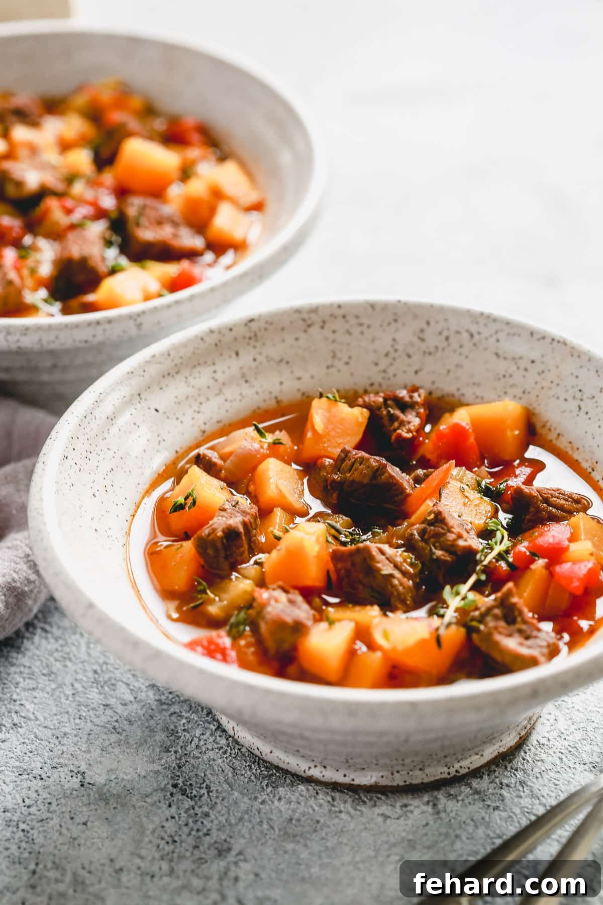 Two bowls of Instant Pot soup featuring tender beef and a vibrant mix of vegetables.