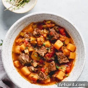 Overlook of a bowl of instant pot vegetable beef soup