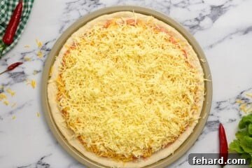 Hot Wing Pizza 7 Pizza with cheddar and mozzarella cheese over buffalo chicken before baking.