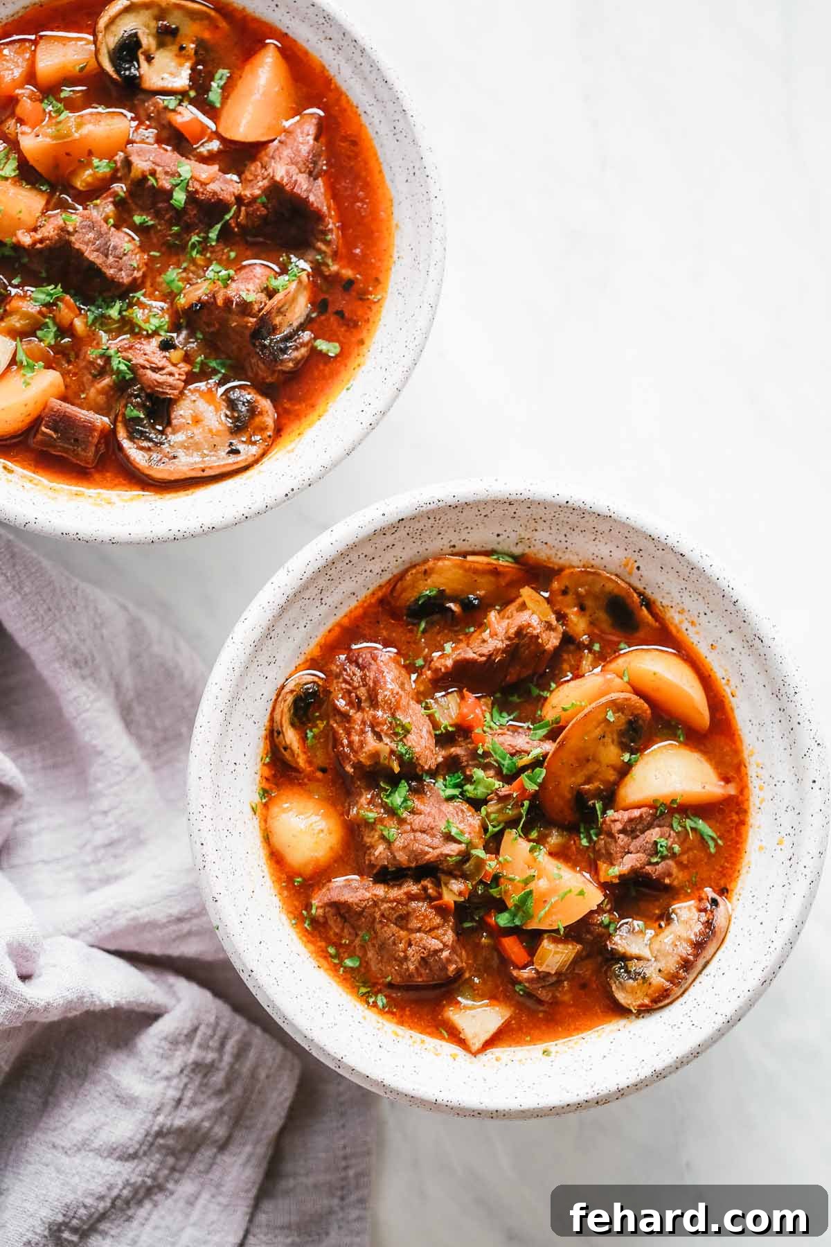 Overhead view of two bowls containing beef stew