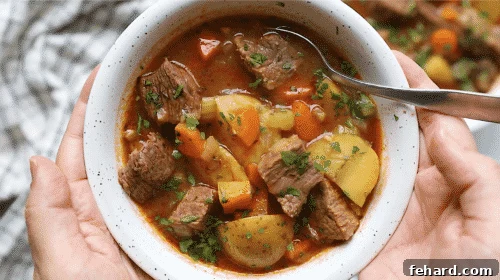 overhead view of a white bowl containing beef stew
