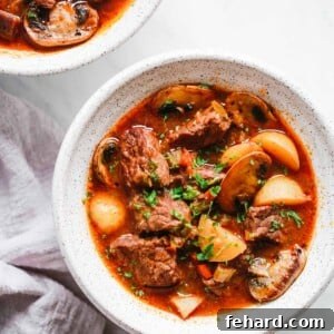 overhead view of a bowl containing beef stew