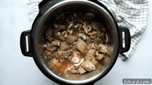 overhead view of beef stew in a instant pot bowl