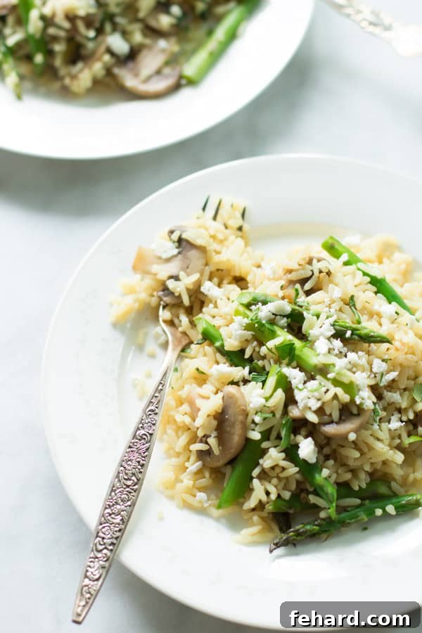 Close up of a plate of rice with mushroom and asparagus with a fork, garnished with fresh parsley.