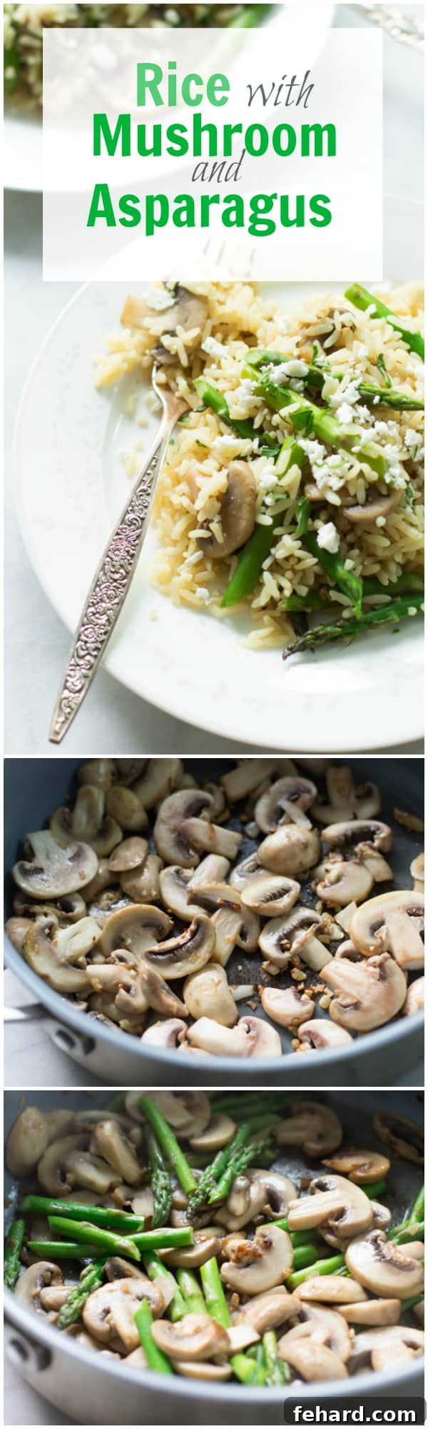 Rice with Mushroom and Asparagus