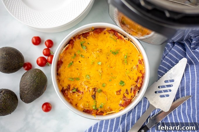 The beautifully cooked Instant Pot Mexican Lasagna still in its pan, sitting beside the Instant Pot and ready plates.