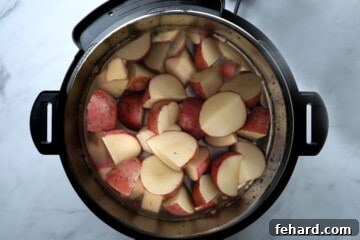 Red Potatoes with broth and salt inside inner pot of pressure cooker.