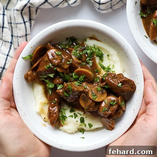 overhead view of a white bowl containing sirloin steak and mashed potato