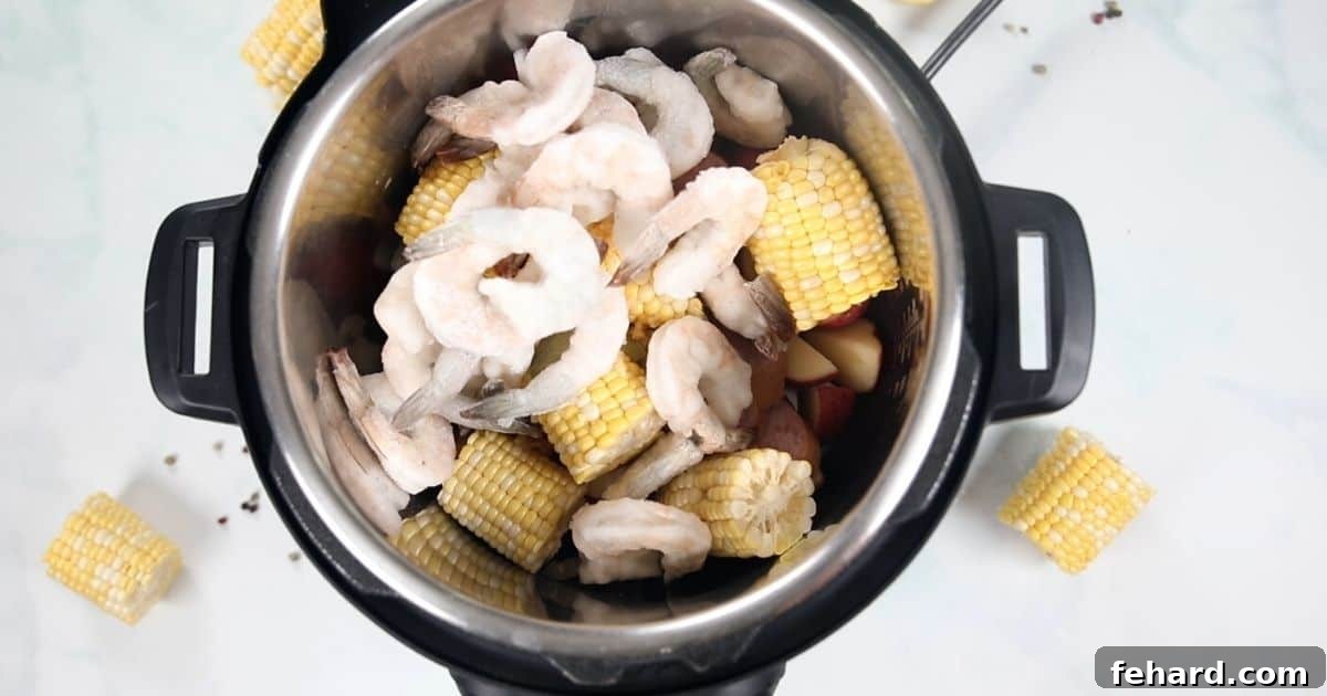 Shrimp on top of corn and potatoes in the instant pot. 