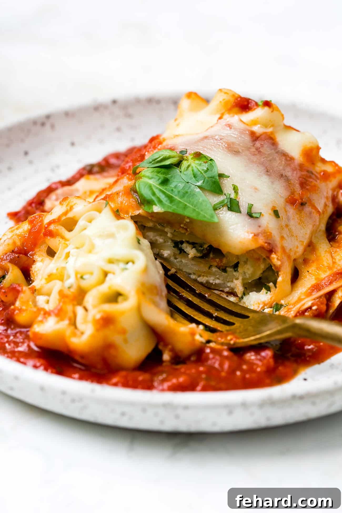 Another close-up of a plated lasagna roll-up, highlighting its appealing texture and rich colors.