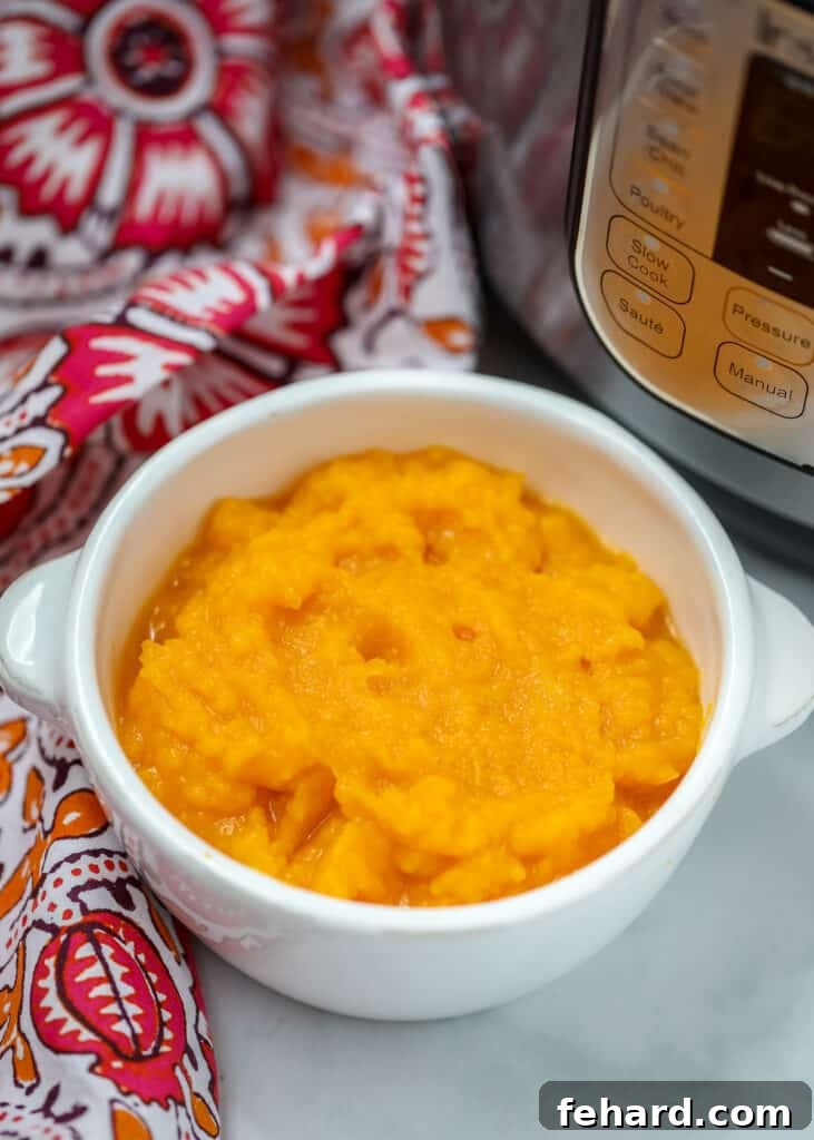 Bowl of Instant Pot Butternut Squash Puree, perfectly smooth and vibrant.