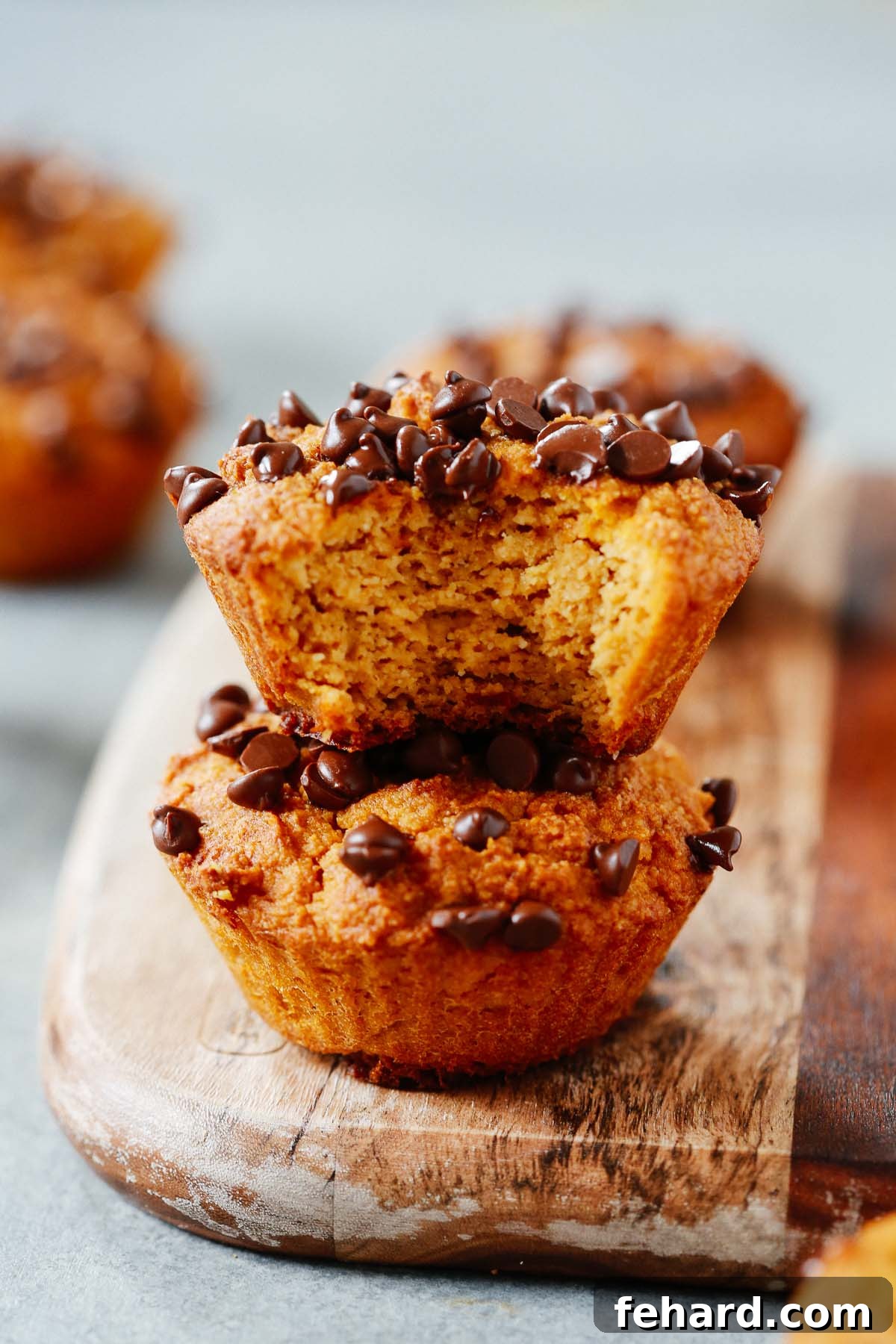 Two healthy pumpkin chocolate chip muffins stacked on top of each other, showcasing their fluffy texture and golden-brown tops with visible chocolate chips.