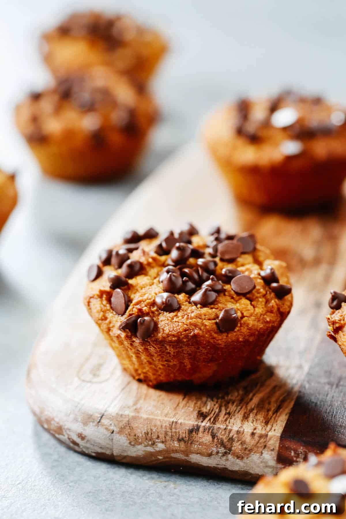 Close-up of a single healthy pumpkin chocolate chip muffin, highlighting its moist interior and generous chocolate chips.