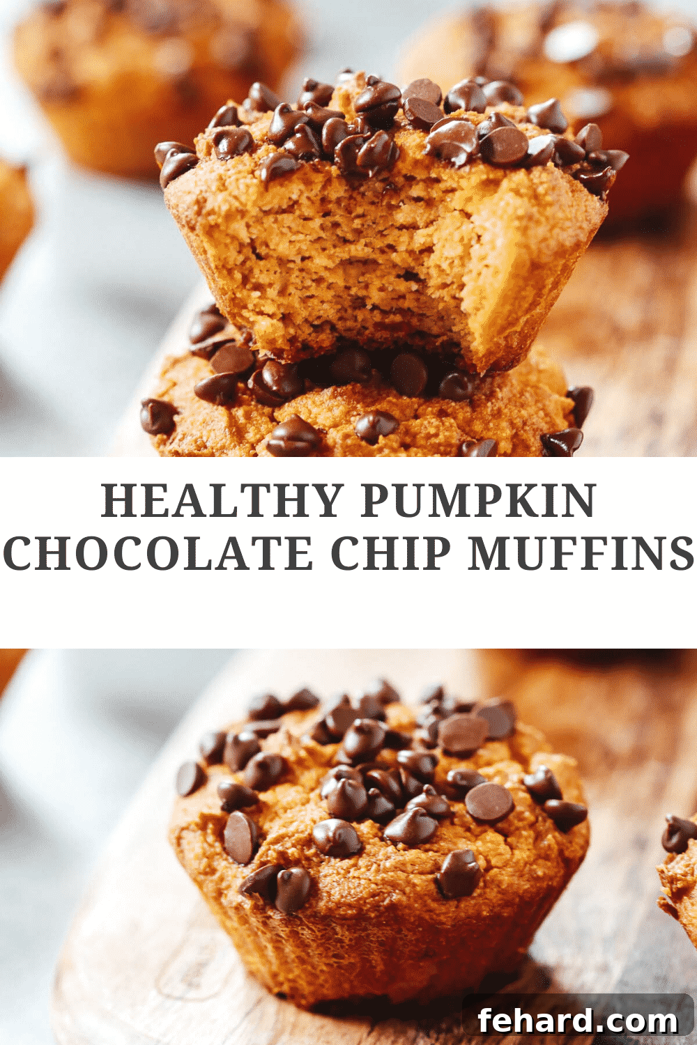 Photo collage showcasing various angles and close-ups of healthy Pumpkin Chocolate Chip Muffins.