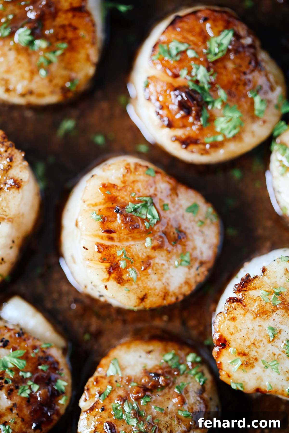 Pan-Seared Garlic Butter Scallops 3 close up of garlic butter scallops recipe