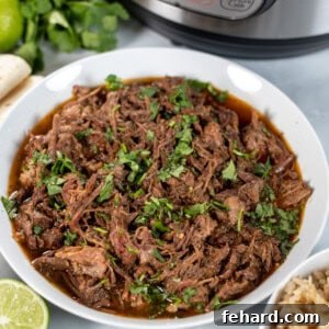 Quick Barbacoa Perfection 3 Bowl of Instant Pot Beef Barbacoa.