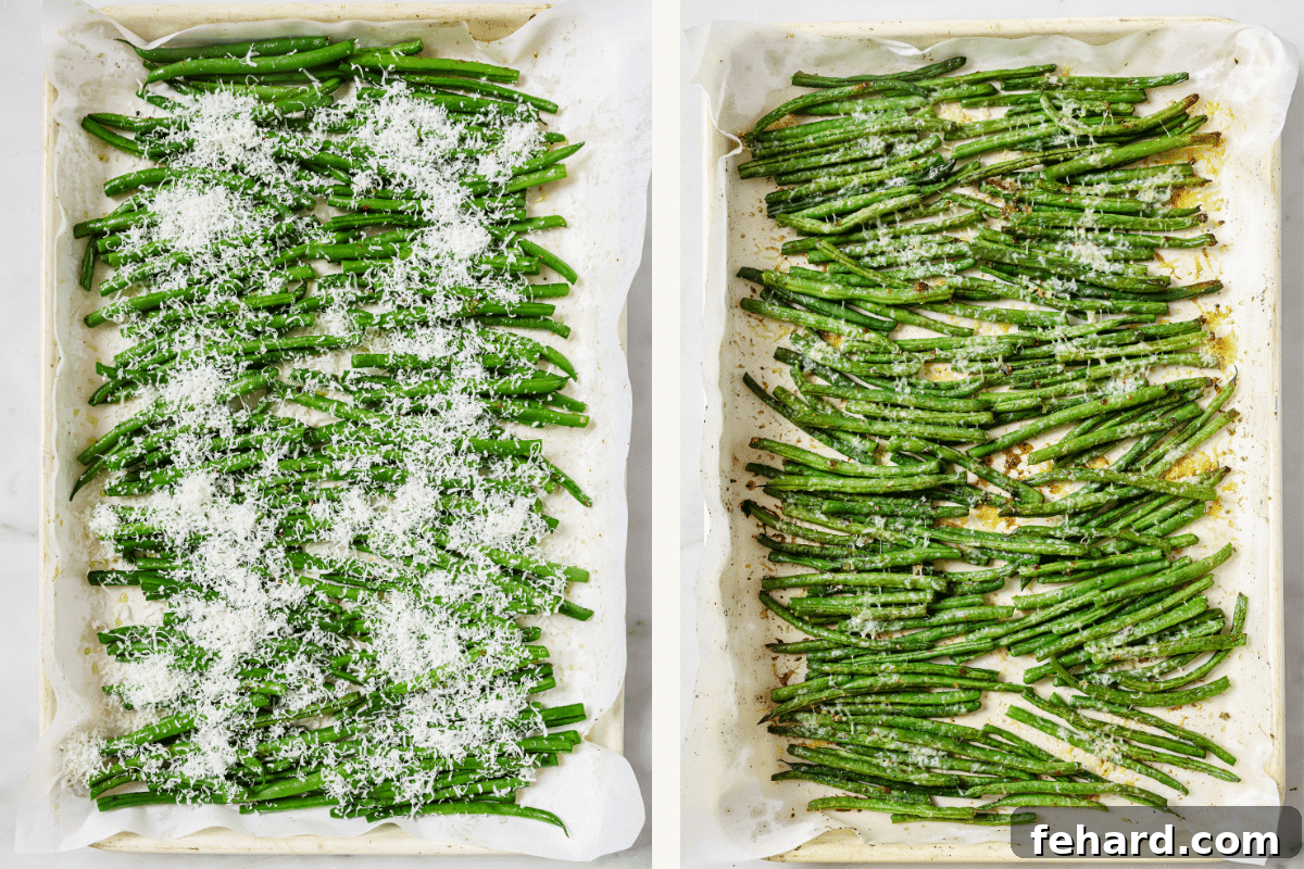Garlic Parmesan Green Beans 5 Left: Freshly grated Parmesan cheese generously sprinkled over green beans on a baking sheet before going into the oven. Right: Roasted parmesan green beans, golden brown and perfectly cooked, cooling on the baking sheet after baking.