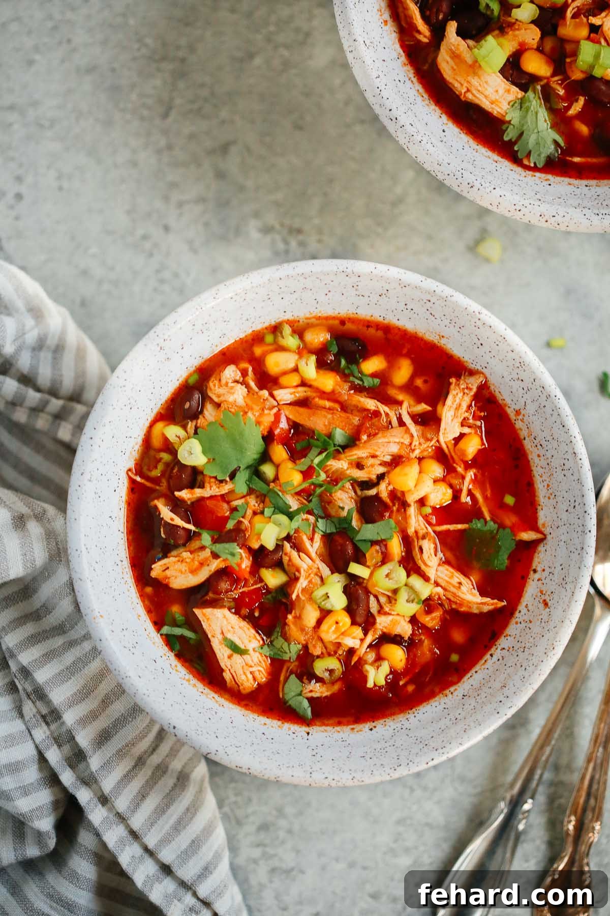 A close-up shot of a single bowl of Southwest Chicken Soup in a white bowl, showcasing its rich texture and colorful ingredients.