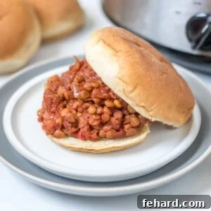 Vegan Sloppy Joe made with lentils served on a bun on a plate with the crockpot in the background.