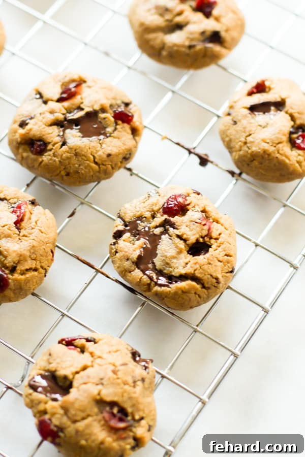 Cranberry Chocolate Chip Cookies arranged on a wire cooling rack. A festive blend of tart cranberries and sweet chocolate chips.