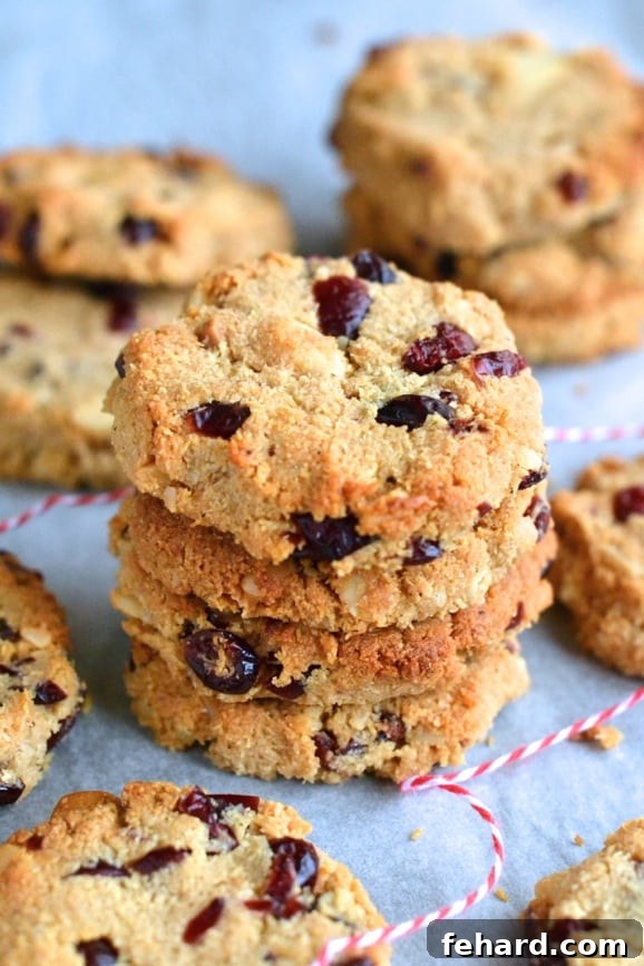 A stack of four Paleo Macadamia Cranberry Cookies with more cookies arranged in the background. A wholesome and flavorful paleo cookie with festive cranberries.