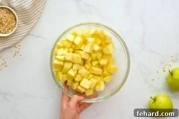 Diced sweet and tart apples mixed with sugar and lemon juice in a large mixing bowl, ready for the crisp topping.