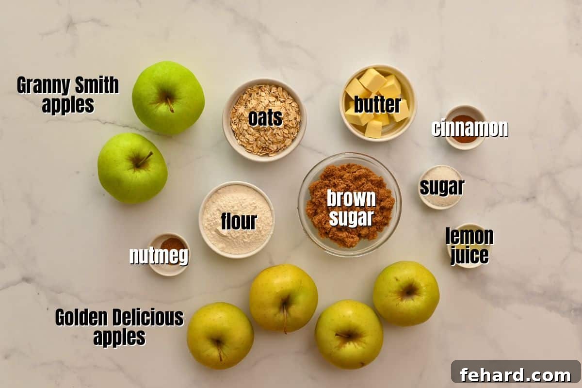 Ingredients for apple crisp with oat topping meticulously labeled on a counter, showcasing fresh apples, oats, flour, sugars, butter, and spices.