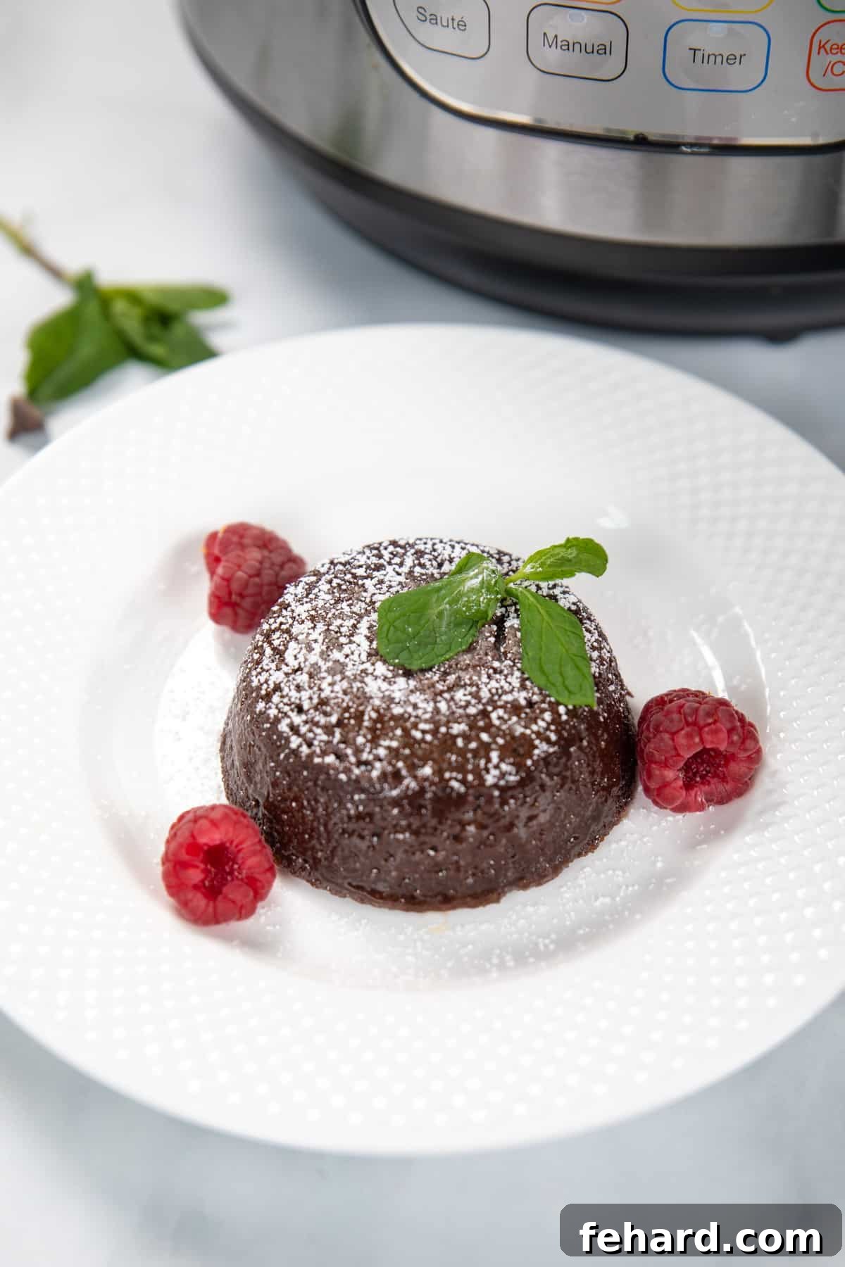 Lava Cake Recipe for Instant Pot Lava cake on white plate topped with powdered sugar and raspberries.