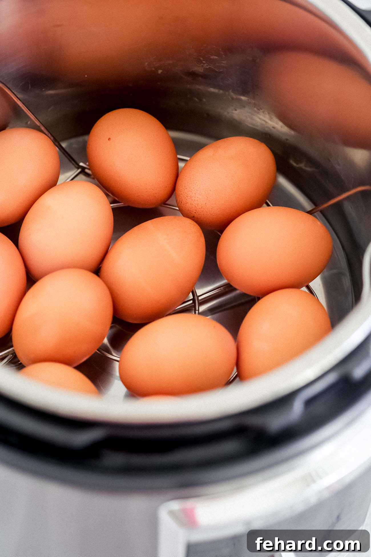 Steaming rack and water inside an Instant Pot, ready for eggs.