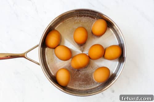 a pan with water and 9 eggs to be boiled