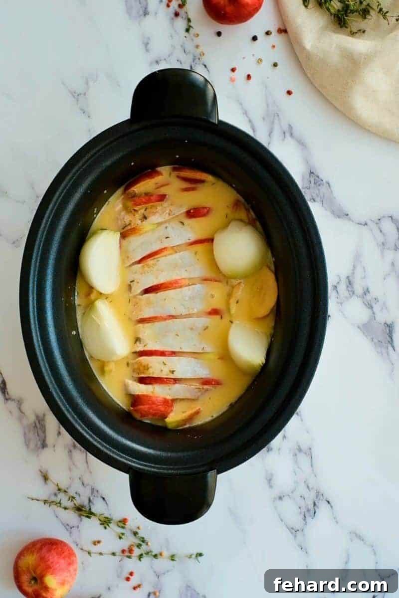 Pork loin roast with apples, onions, and mustard apple cider liquid ready for slow cooking.