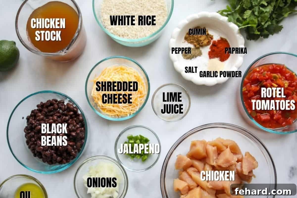 IP Burrito Bowls Ingredients Labeled ingredients for Instant Pot Burrito Bowls laid out on a kitchen counter.