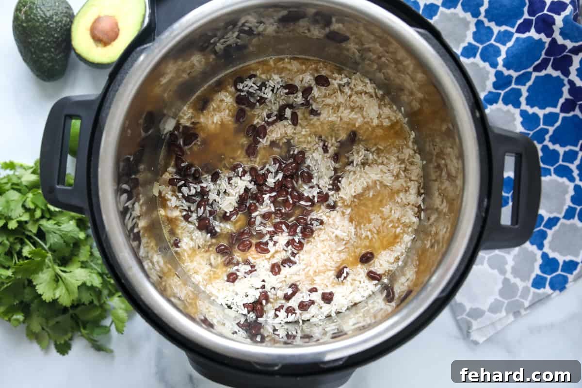 Instant Pot Chicken Burrito Bowl Layers Layered ingredients including rice, chicken, and beans in the Instant Pot.