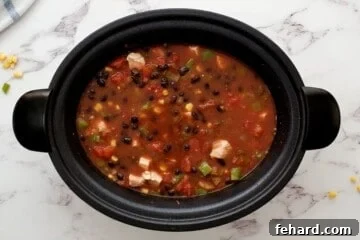 Southwest Fiesta Turkey Soup 4 Ingredients for turkey soup in slow cooker.