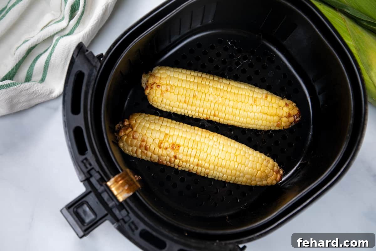 Air Fryer Corn 2 cooked ears of corn in basket of air fryer.