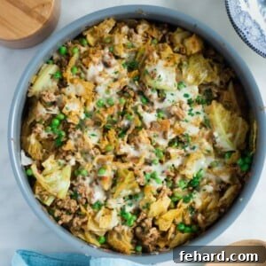 Ground Turkey Cabbage Skillet - Primavera Kitchen Recipe