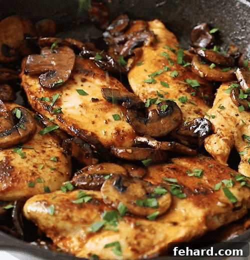 close up of chicken and mushroom
