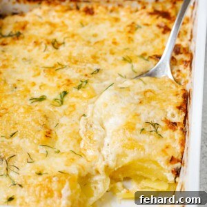 Potatoes Au Gratin in a baking dish