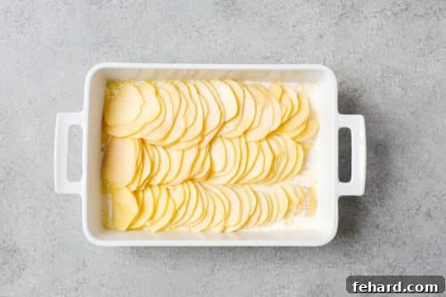 Golden Baked Cheesy Potatoes 13 overhead view of white casserole containing sliced potato and heavy cream