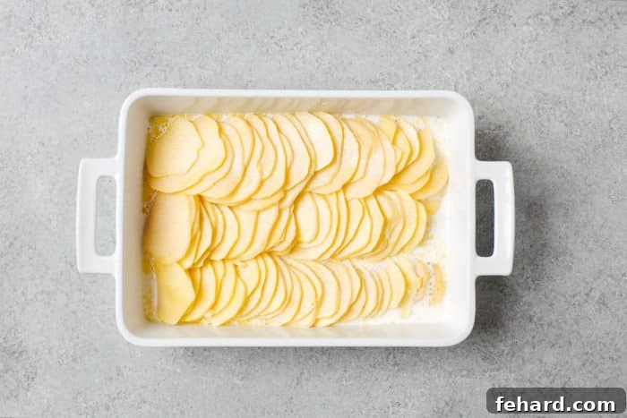 Golden Baked Cheesy Potatoes 6 overhead view of white casserole containing sliced potato and heavy cream