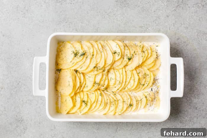 Golden Baked Cheesy Potatoes 7 overhead view of white casserole containing sliced potato, milk and herbs