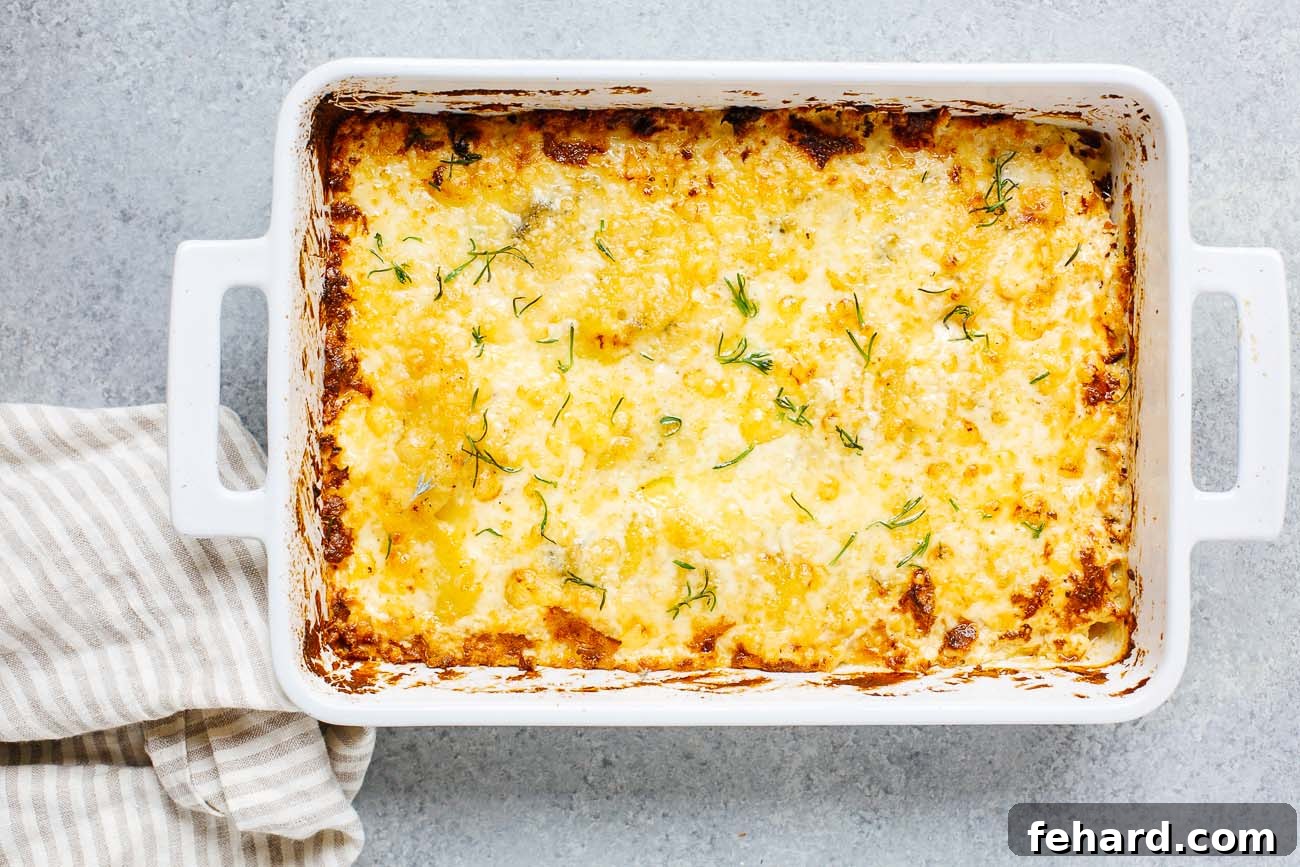 Golden Baked Cheesy Potatoes 9 overhead view of potatoes au gratin in a casserole