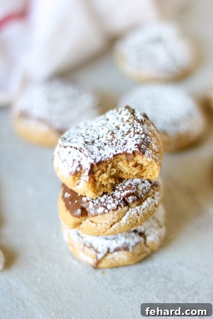 Muddy Buddy Cookies - Chocolate Peanut Butter Delight Stack of 3 Chocolate Dipped Peanut Butter Cookies dusted with powdered sugar with additional baked cookies in the background. A close-up view highlighting the perfect powdered sugar coating and chocolate dip.