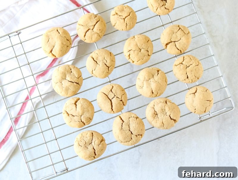 Chocolate Covered Peanut Butter Cookies - Freshly Baked Base Classic Peanut Butter Cookies resting on a baking rack, cooling after coming out of the oven.