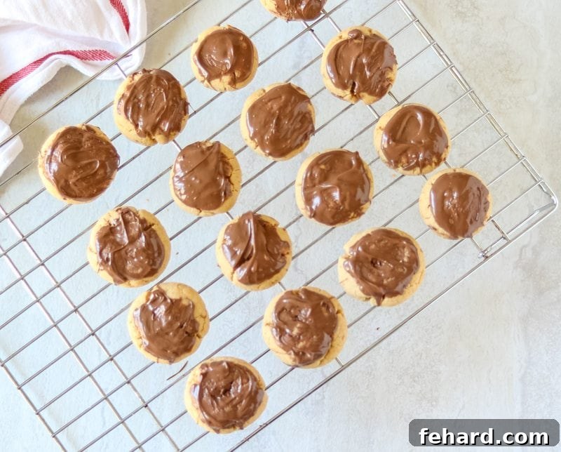 Chocolate Peanut Butter Cookie Recipe - Dipping Process Chocolate Dipped Peanut Butter Cookies on a baking rack, with chocolate still wet and glistening.