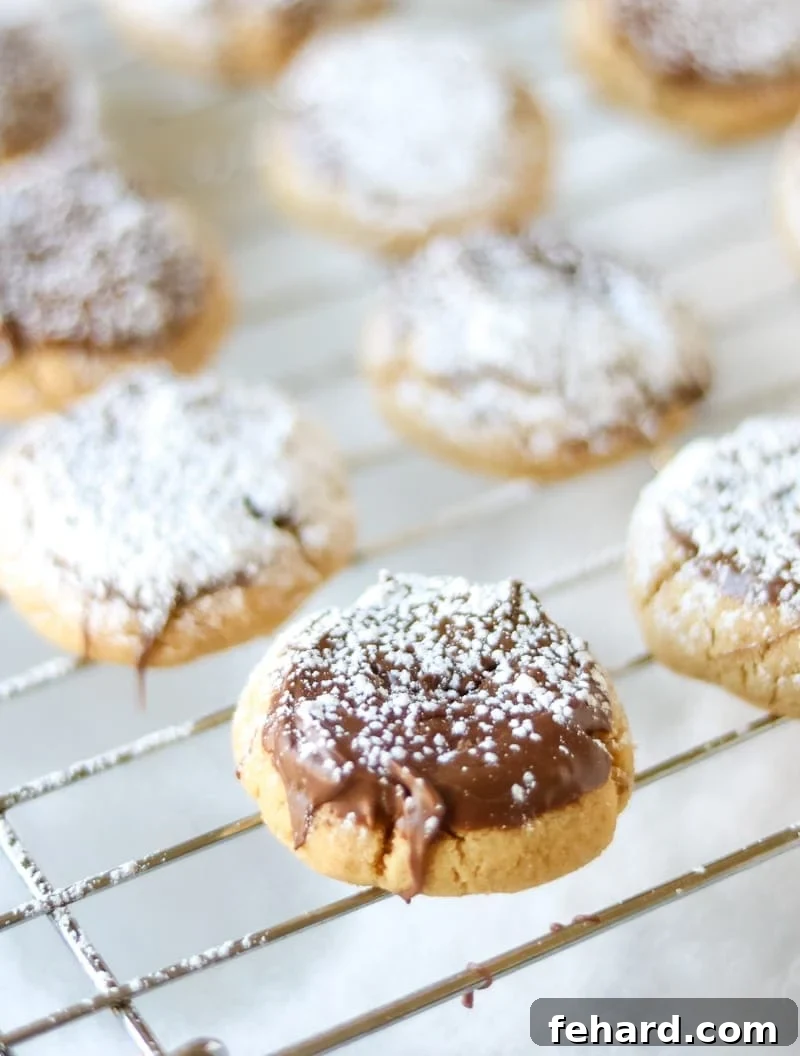 Peanut Butter Cookies with Chocolate and Powdered Sugar A baking rack with chocolate covered peanut butter cookies, now dusted with powdered sugar.