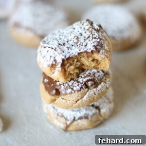 Peanut Butter Chocolate Cookies AKA Muddy Buddy Cookies: A tender peanut butter cookie is dipped in milk chocolate and then dusted with powdered sugar.