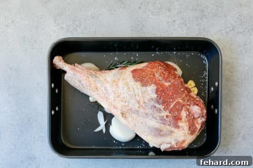Overhead view of a raw leg of lamb seasoned and ready in a roasting pan.