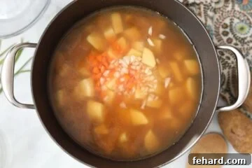 Potatoes, carrots, and onions simmering in broth.