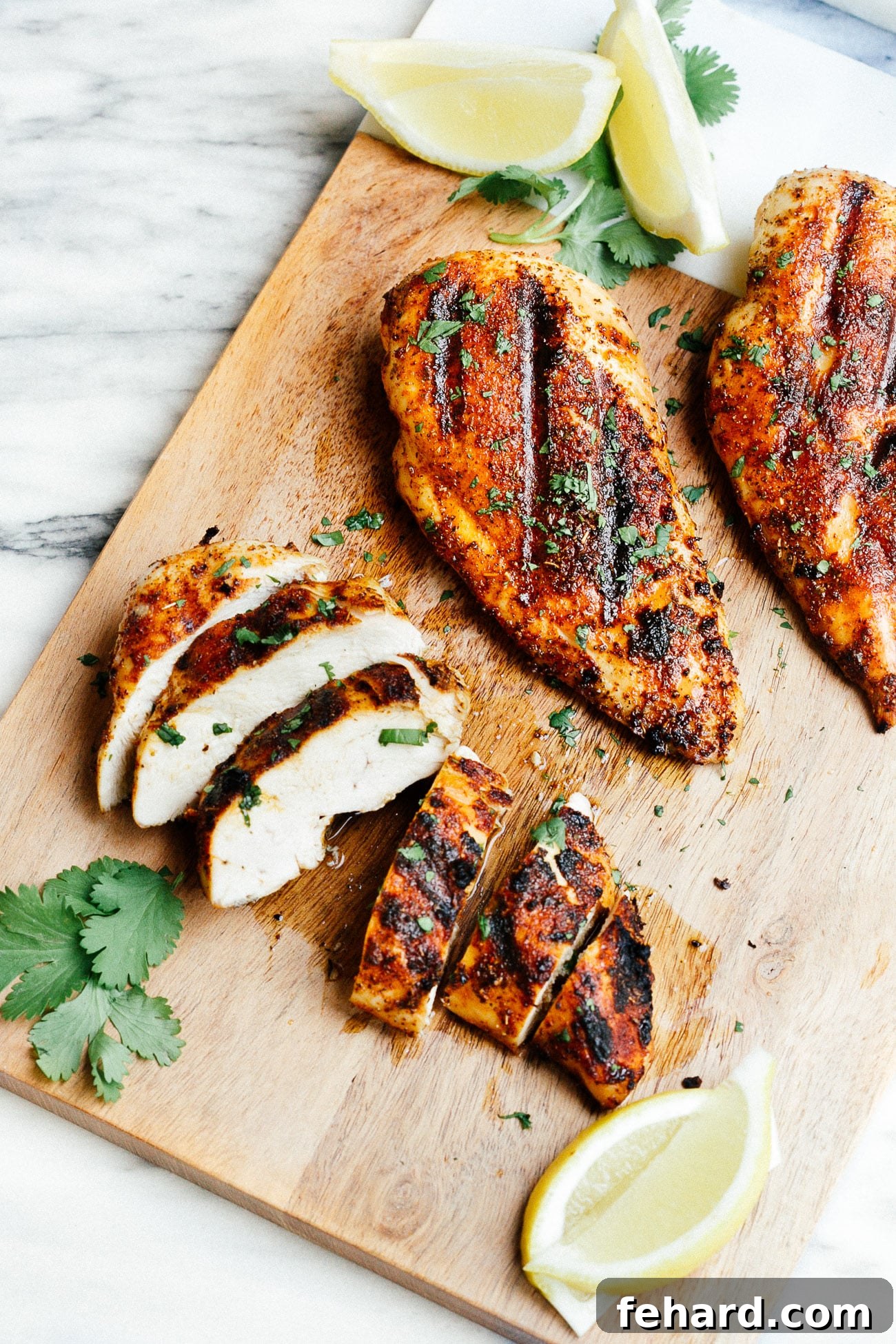 overhead view of cajun grilled chicken breast